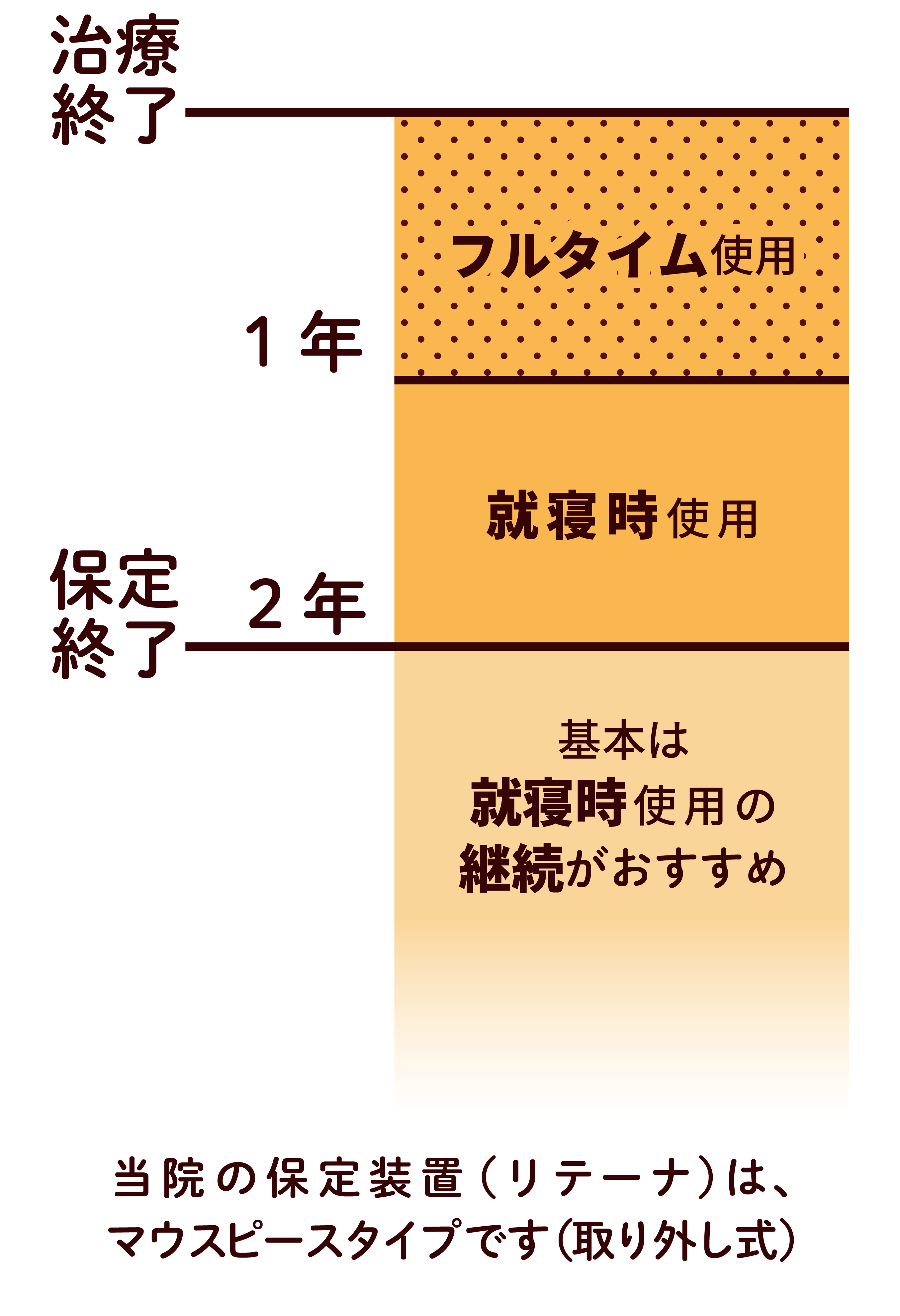 保定(リテーナー)