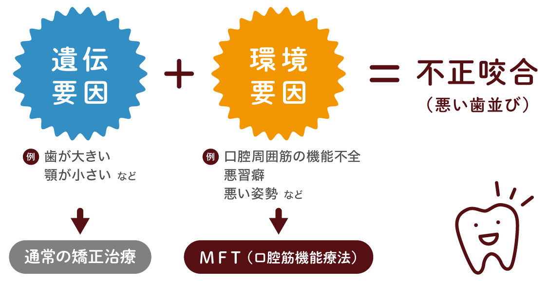 歯並びが悪くなる要因